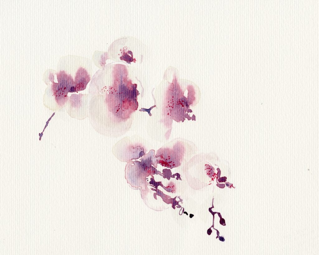 Aquarel schilderen